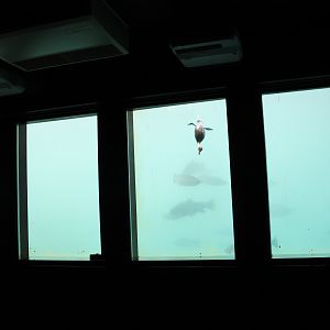 Time Tripper: Viewing windows, Lake Wakatipu, Queenstown
