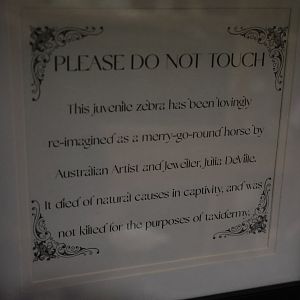Signage for taxidermy Zebra, Flora Fauna Wunderkammer (Queenstown)