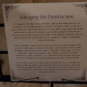 Signage for taxidermy Polar Bear, Flora Fauna Wunderkammer (Queenstown)