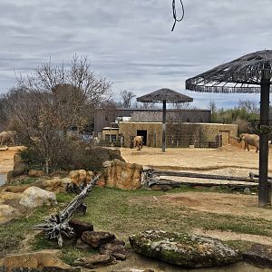 Caldwell Zoo African Elephant Habitat