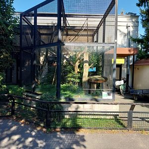 Monkeyhouse - Common Squirrel monkey