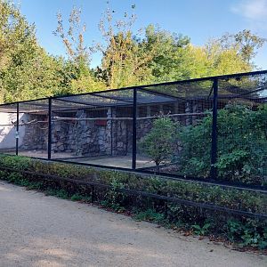 Patagonian conure aviary