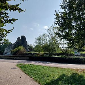 Cat terraces - African lion enclosure