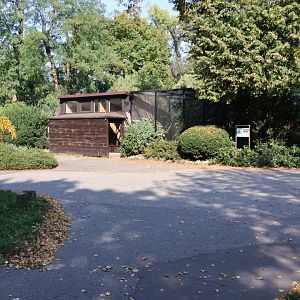 Eastern Ring-tailed vontsira enclosure