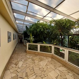 Reptile house - Crocodile wing