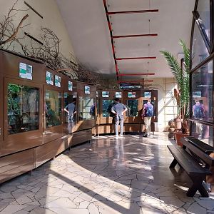 Reptile house - Amphibian second floor