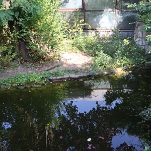 Reptile house - Siamese Crocodile (Crocodylus siamensis) enclosure