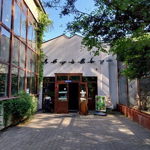 Birdhouse - Main entrance