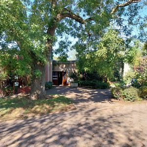 Birdhouse - Rear entrance