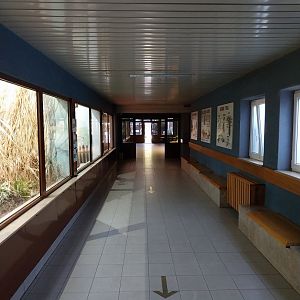 Birdhouse - Interior