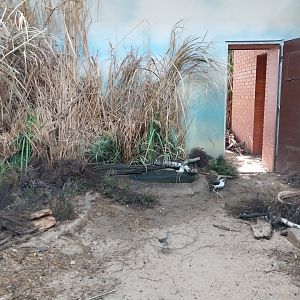 Birdhouse - Wading bird aviary