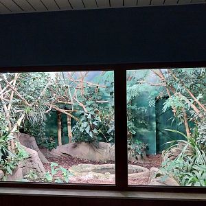 Birdhouse - Spangled Cotinga aviary