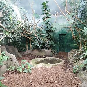 Birdhouse - Spangled Cotinga aviary