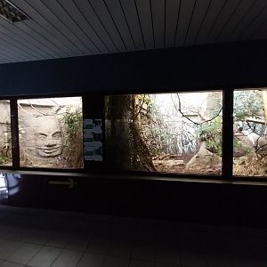 Birdhouse - Southeast Asia aviary