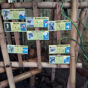 Birdhouse - Tropical Rainforest walk-through - species sign