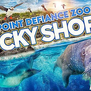 Rocky Shores | Zoo Tours