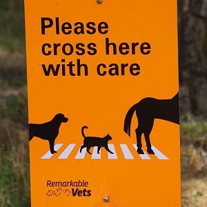Parking signage, petting zoo at Remarkable Vets Arrowtown