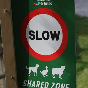 Parking signage, petting zoo at Remarkable Vets Arrowtown