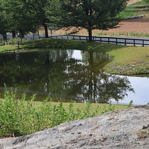 Pond, petting zoo at Remarkable Vets Arrowtown