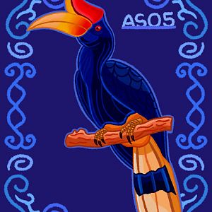 Rhinoceros Hornbill