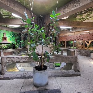 Zoo Osijek - "Terrarium aquarium" building