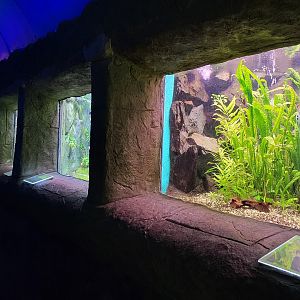 Zoo Osijek - "Terrarium aquarium" building