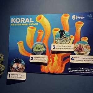 coral signage
