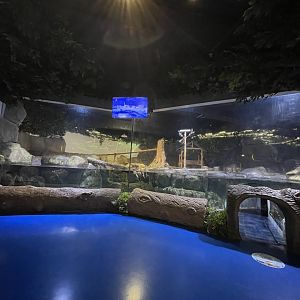 otter exhibit