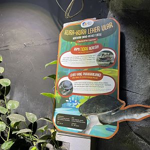northern snake-necked turtle signage