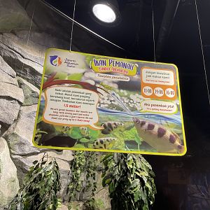 banded archerfish signage