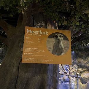 meerkat signage
