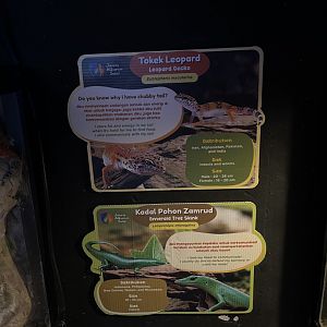 leopard gecko & emerald tree skink signage