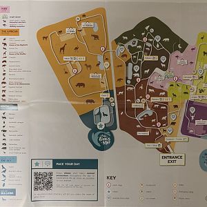 Zoo Map - 2024