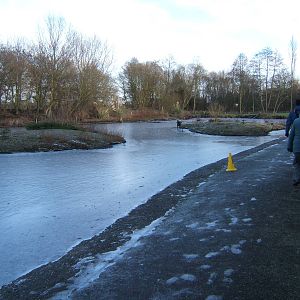View of a frozen Martin Mere