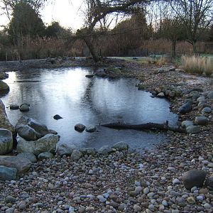 View of a frozen Martin Mere