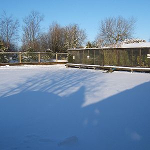 View of a very white Blackbrook