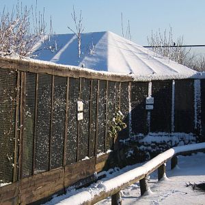 View of a very white Blackbrook