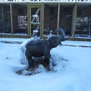 View of a very white Blackbrook