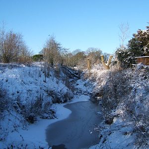 View of a very white Blackbrook