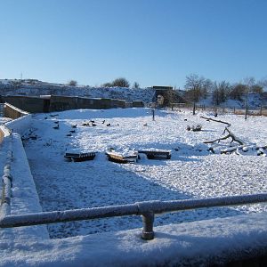 View of a very white Blackbrook