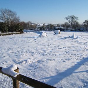 View of a very white Blackbrook
