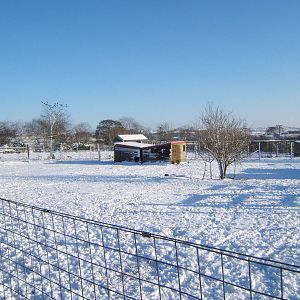 View of a very white Blackbrook
