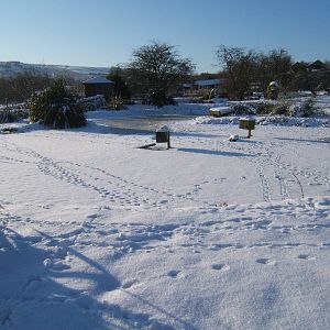 View of a very white Blackbrook