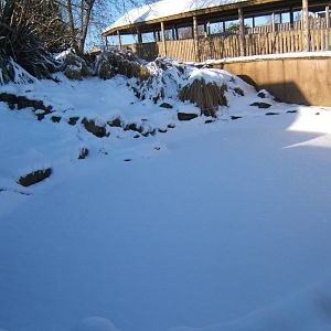 View of a very white Blackbrook