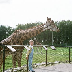 Aalborg Zoo 1986 - Me and Giraffe