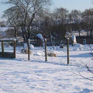 View of a very white Blackbrook