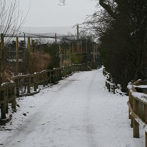 Snowy Tsavo Path