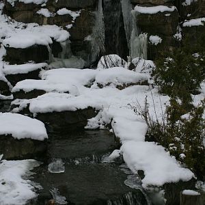 Spectacled Bears Waterfall