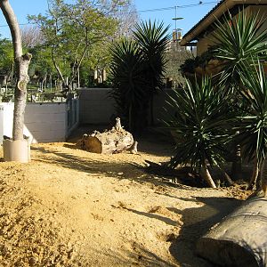 Meerkat New enclosure