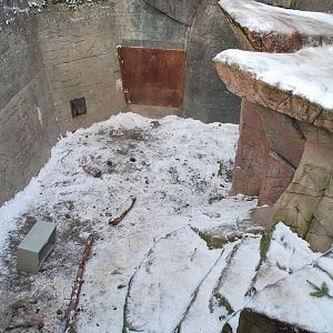 Polar bear grotto no 2